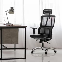 Ergonomic Chair Furradec
