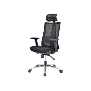 Ergonomic Office Chair Anya