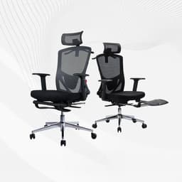 Ergonomic Office Chair