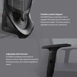 Ergonomic Office Chair