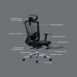 Ergonomic Office Chair